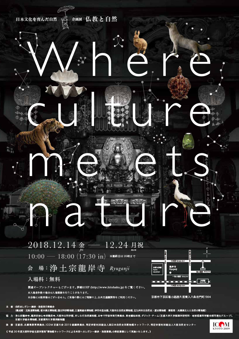 「自然史博物館が仕かける 「Where culture meets nature」展」赤坂志乃